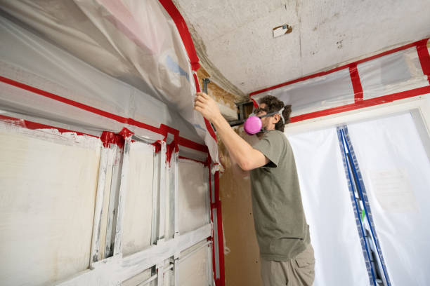 Professional Mold Removal in Holdrege, NE